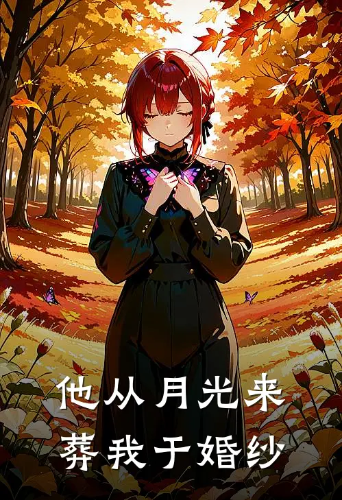 他从月光来，葬我于婚纱
