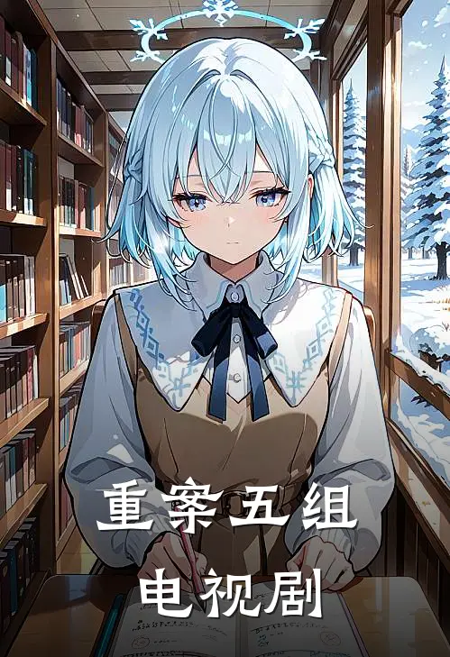 重案五组 电视剧