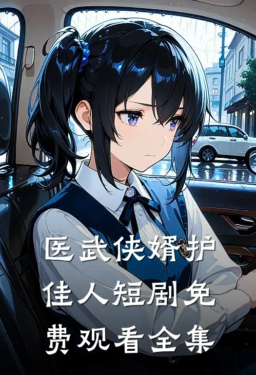 医武侠婿护佳人短剧免费观看全集